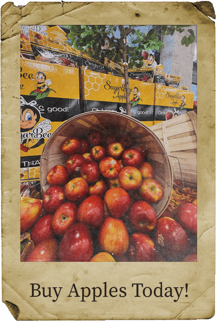 bin of sugarbee apples