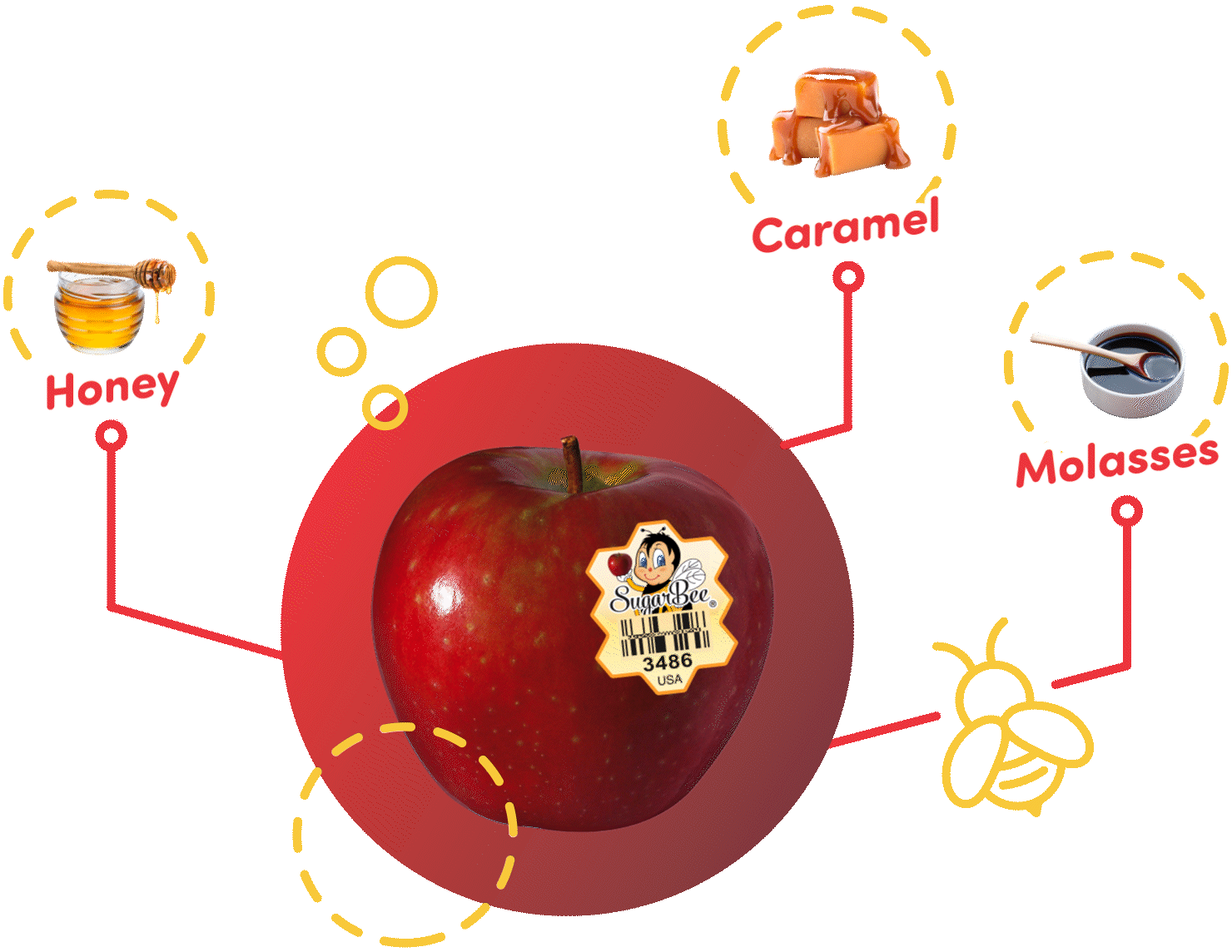 sugarbee flavor profile graphic