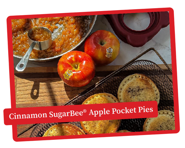 cinnamon-sugarbee-handpies-recipe