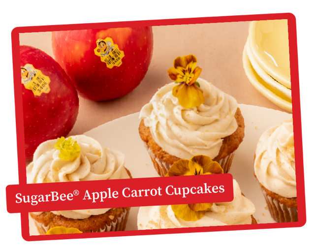 sugarbee-apple-carrot-cupcakes-recipe